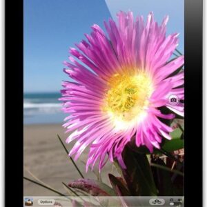 Apple iPad 2 (2012) 16GB Wi-Fi Black